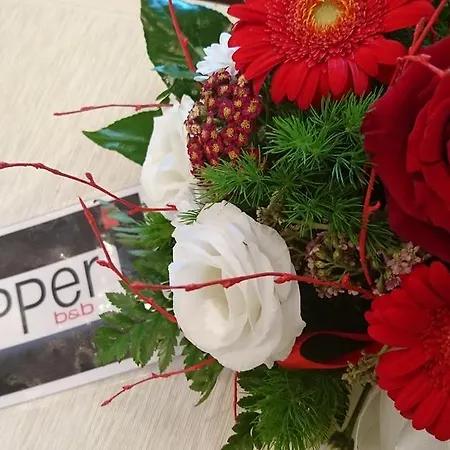 Bed & Breakfast Upper Pescara